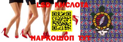 гашик Моздок
