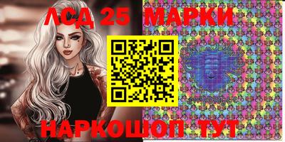 гашик Моздок
