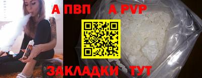 гашик Моздок
