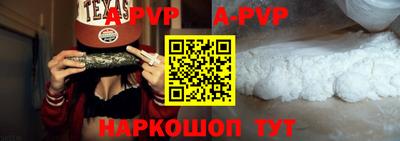 гашик Моздок