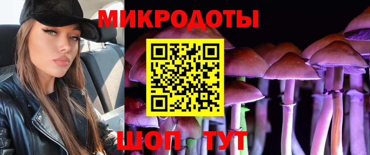 Анапа  Псилоцибиновые грибы Psilocybine cubensis  Вход с VPN 